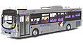 OOC Single Deck Buses